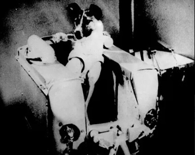 vyomgyan's tweet image. This historic image (Image 1) shows Laika, the first living being to orbit Earth, inside her space capsule. Laika was a Soviet space dog launched aboard Sputnik 2 on November 3, 1957.
Key facts about the image and mission:
Laika was a stray dog from the streets of Moscow.
The…