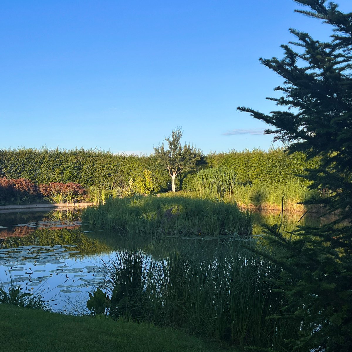 uiuxadrian's tweet image. Back in the countryside for the weekend.
Need some rest, what a month it’s been 😮💨
Have a good one my guys 🤙