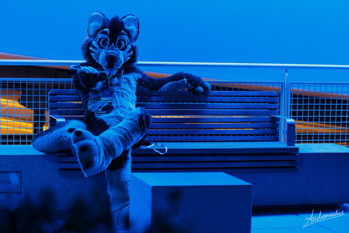 ArdenWolfsky's tweet image. Join me, tell me about your favorite cocktail 🍸 

📸 @AndromedusWolf #FursuitFriday #FridayMood #furry