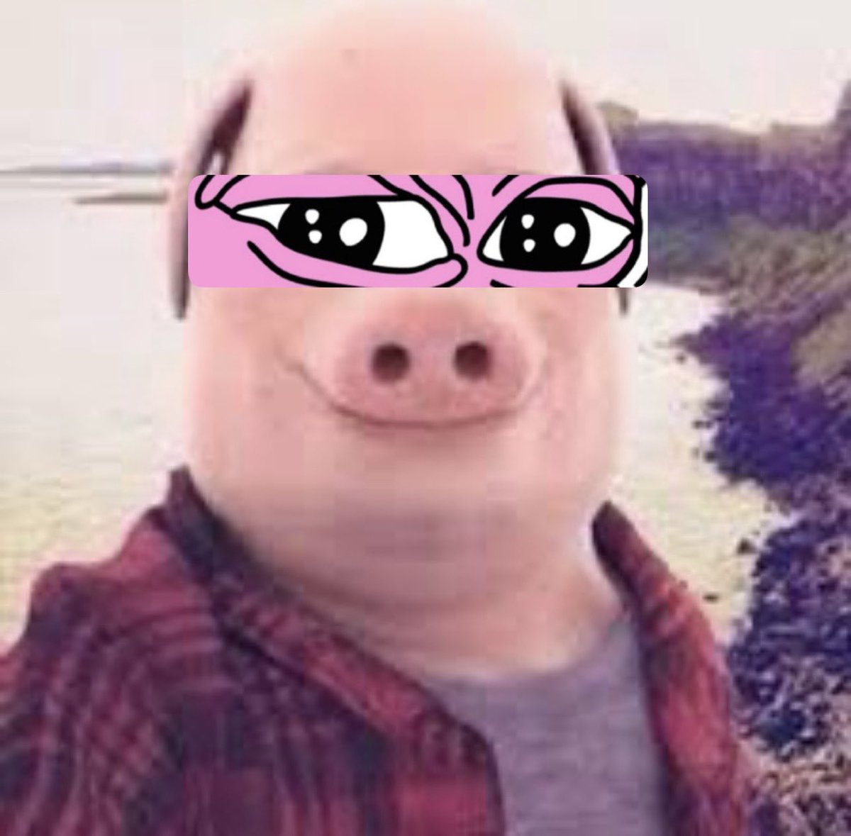 samuelitolh's tweet image. $PORK&apos;D