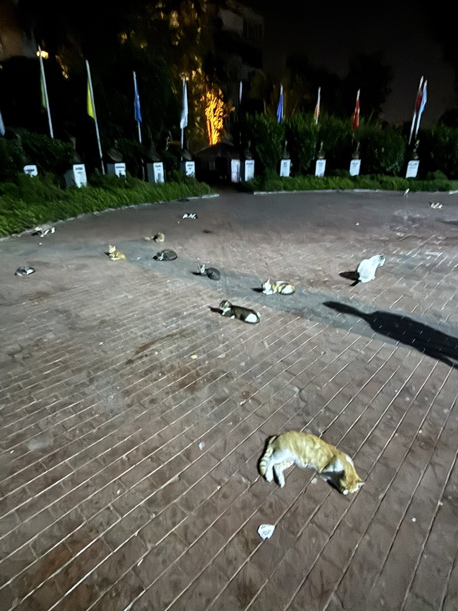 Takımdan daha iyi yayılmışlar sahaya