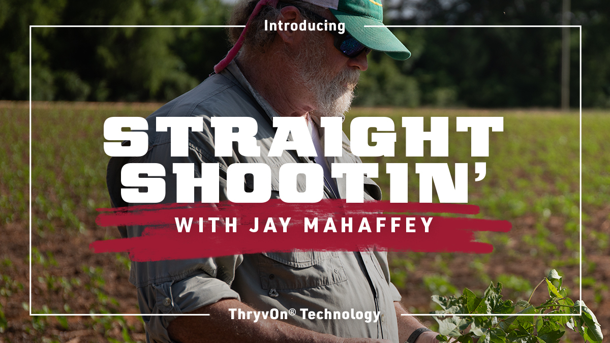 BayerTraits's tweet image. 📣 Hear this: Jay Mahaffey is going on tour to meet with ThryvOn Technology growers. Follow along to catch all their insights and expertise for your best season yet. spr.ly/6010fzAiK
#ThryvOn #StraightShootinwithJay
