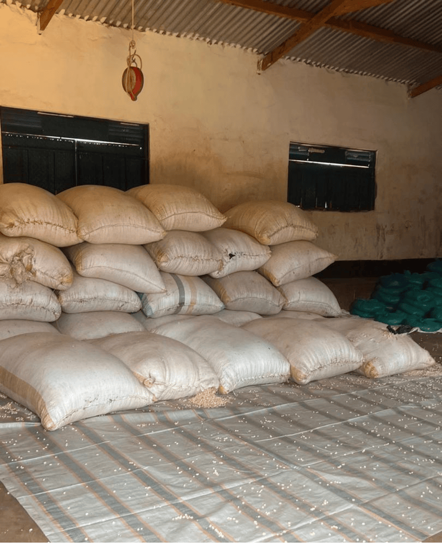 woefoundation's tweet photo. Our Mobile Messengers in Uganda are South Sudanese refugees—sharing Jesus while building life in the camps. A recent food crisis hit, but thanks to your generosity, we provided urgent aid. 🙏 Pray they feel seen, loved &amp; not forgotten. 💛 Give monthly. #Uganda #NonprofitMinistry https://t.co/6z20SlFStI