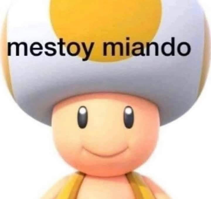 memefeos's tweet image. yo en la peda al primer sorbo de alcohol: