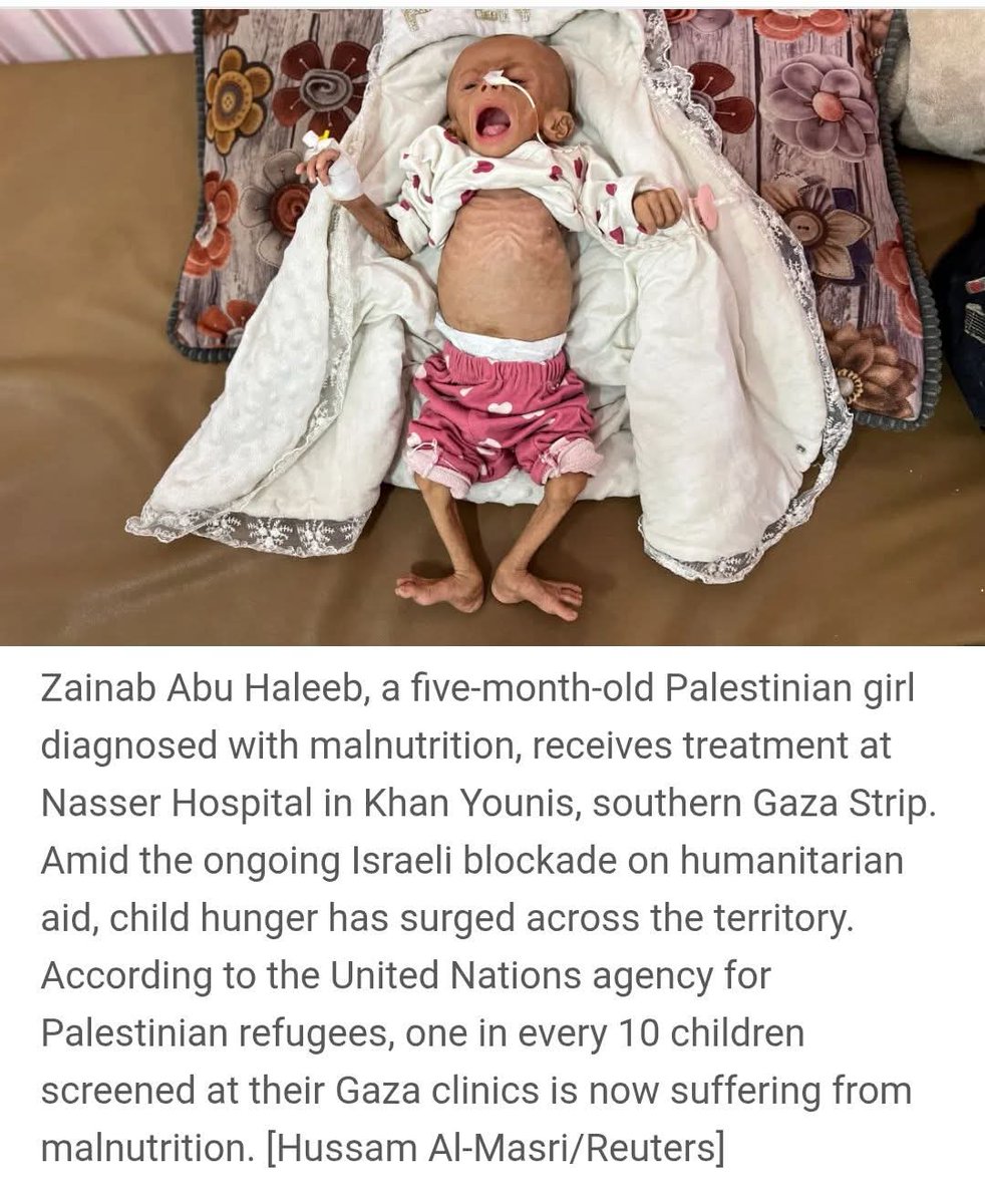 AlwaysChekhov's tweet image. Take your time, world. Take all the time you need. Be as slow as you can in recognising Israel&apos;s war crimes. The last Gazan is still a few months away from being dead.

You can then pat yourself on the back for saying the right thing.

@realDonaldTrump @Keir_Starmer…