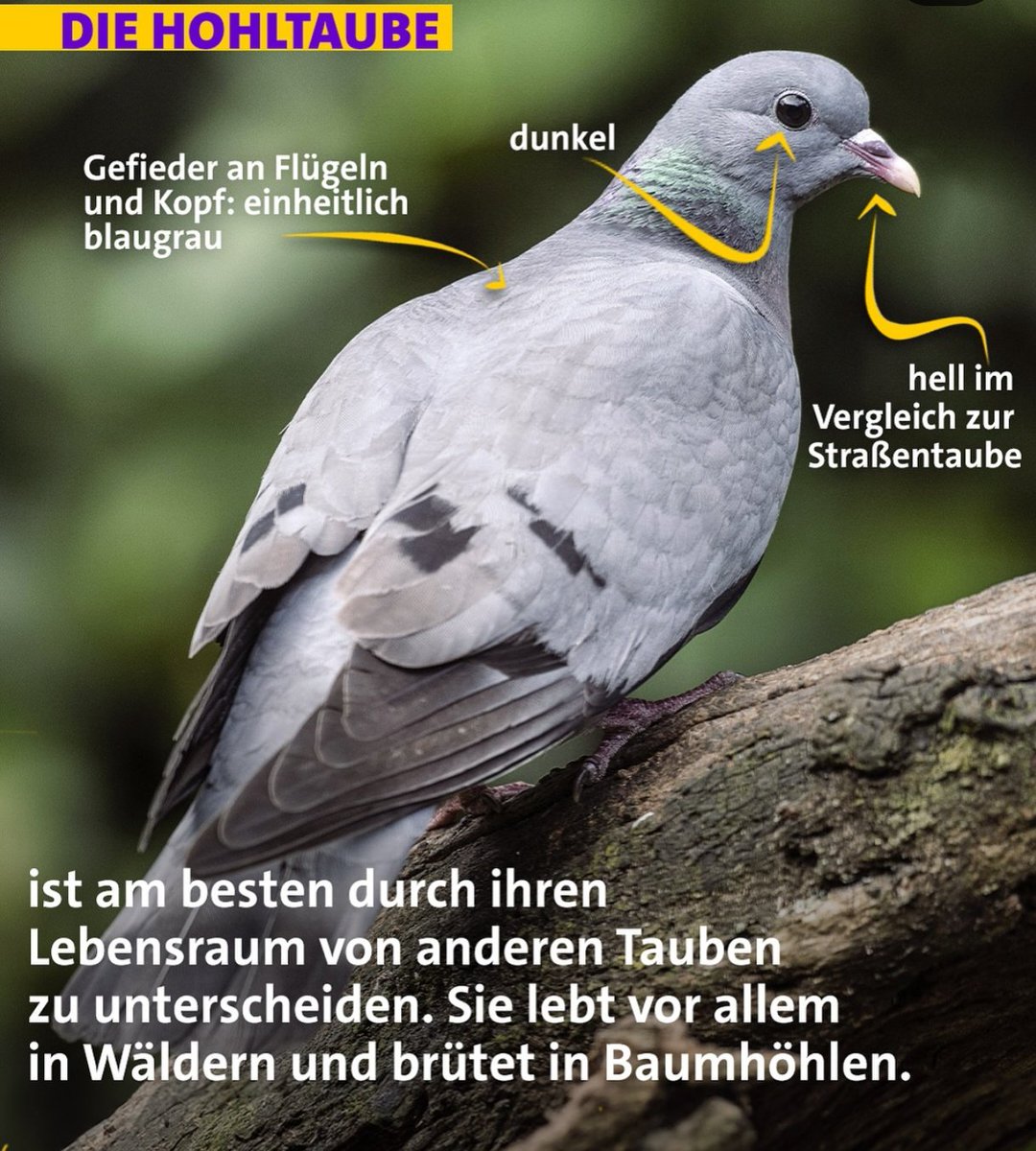 Tweet media two