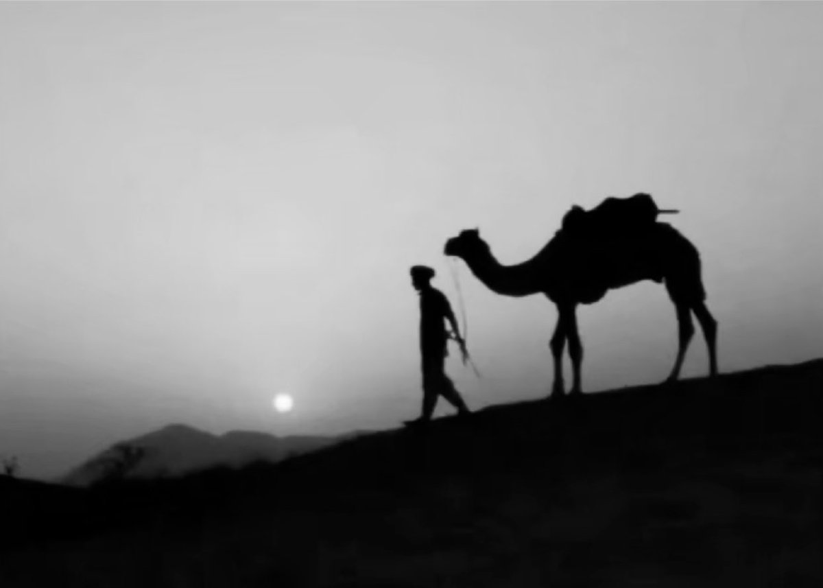 Qhta10ni's tweet image. ماهوب لازم أغنّي كل عصريّه
وأنقّض جروح من مبطي وهي غلقه

عندي من عصيِر وهبّاته حساسيّه
أشدّ وأقسى علي من رميه الطلقه

إلا على الحاجه الحاجه الضـروريّه
أجيـك الافكار مندفعـه ومنطلقه

إمـا مديـح أصــوكٍ أفخر بـ طـاريّه
وإلا هجاء يمسك الضفعه مع حلقه