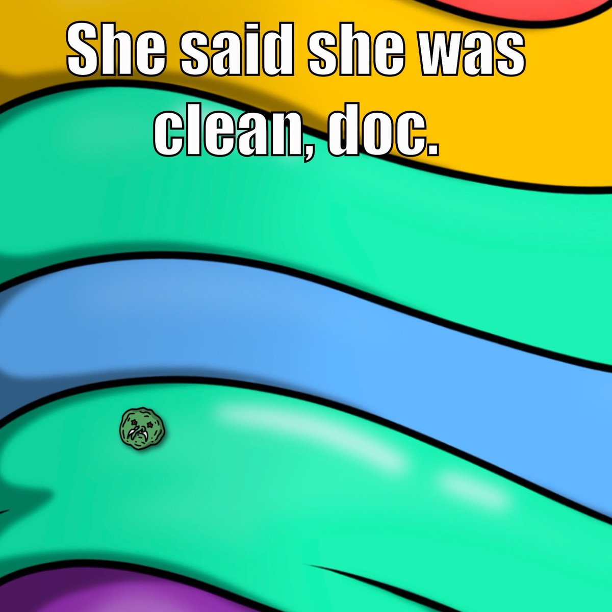 snekdotfun's tweet image. guys it might be over for me