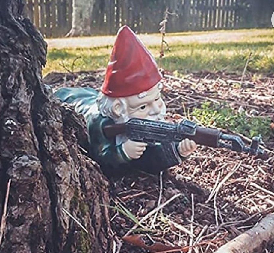 SilenceInPolish's tweet image. Gnome Forces