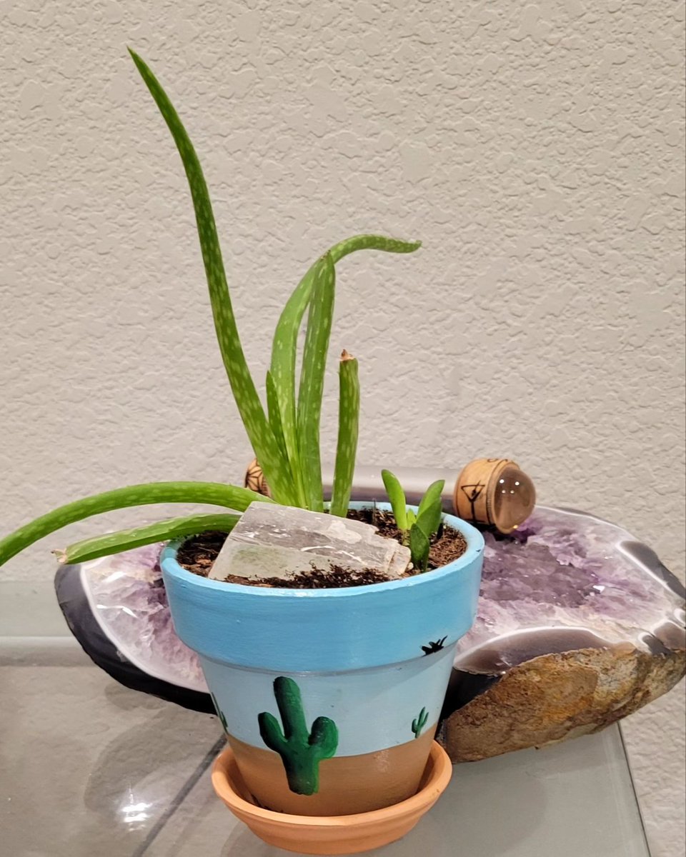 ApocalyptoOG's tweet image. I painted this pot for my Aloe! 

#art 🎨