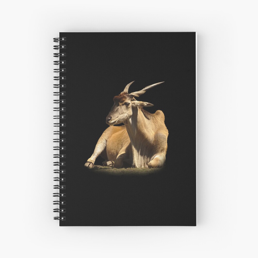 GvardianG's tweet image. Guardi71.redbubble.com