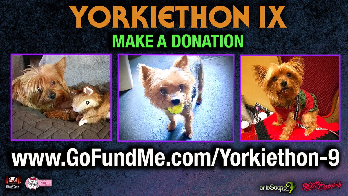 I know my Silent Auction is always a hit but PLEASE don’t forget that you can just make a donation to help my friends at Save A Yorkie Rescue! Every dollar can help save a life! Pleeeease help this weekend:
GoFundMe.com/Yorkiethon-9