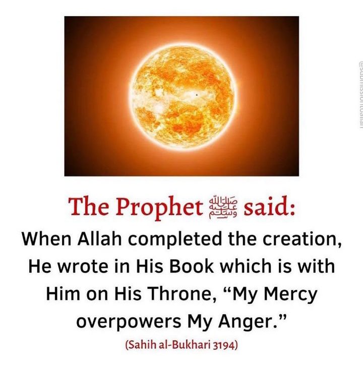 Dailyremindrs_'s tweet image. The Prophet (ο·Ί) said: