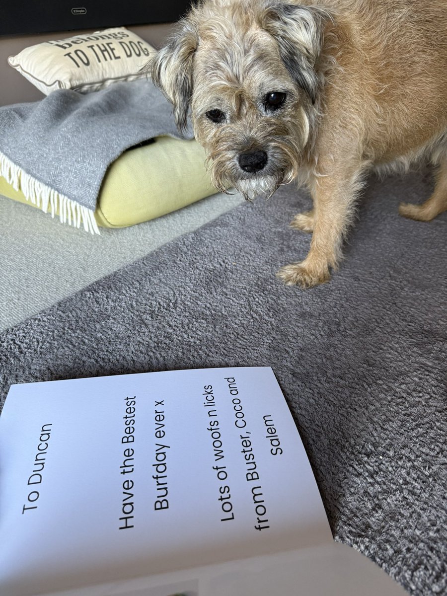 DuncanPickles's tweet image. Home to special mail from pals @Mollycutedog01 😁
What a good #ScrappyBirthday
Thanks everyone for making it a day filled with pals messages and for not letting me feel lonely even for a minute.
I’m lucky to have you all ❤️ #DuncanPickles #dogsofX #btpisse #FridayMotivation