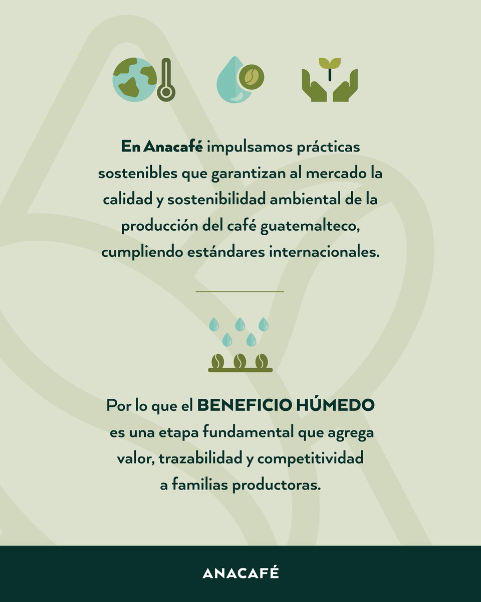 💧 Detrás de cada taza de café hay una historia de compromiso con el agua.

En Anacafé, creemos que una caficultura sostenible comienza desde el origen: con el uso responsable del recurso más valioso que tenemos.

Cada etapa del proceso cuenta, y el beneficio húmedo no es la