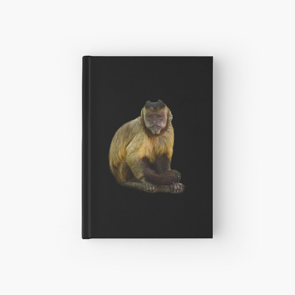 GvardianG's tweet image. Guardi71.redbubble.com