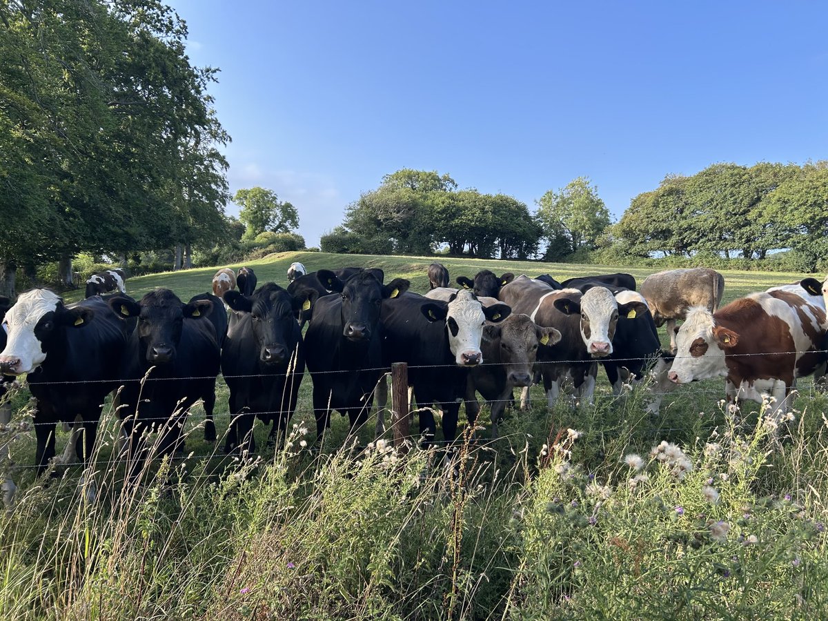 What is this life if full of care, we do not have time to stop and stare…