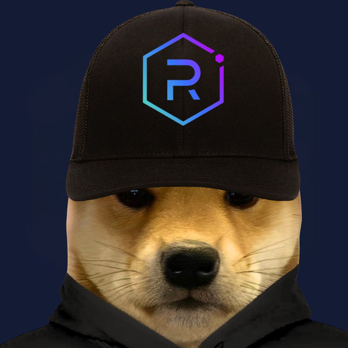 dogwifcoin's tweet image. wif memes