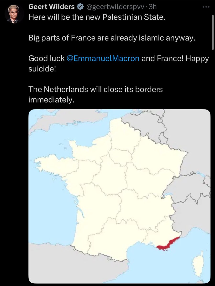 🚨⚠️Wilders : Palestinian State in SOUTH FRANCE? 🇵🇸🇫🇷 Netherlands to SLAM borders shut! 🚨 Is this the end of open borders? #GeertWilders #Netherlands #France