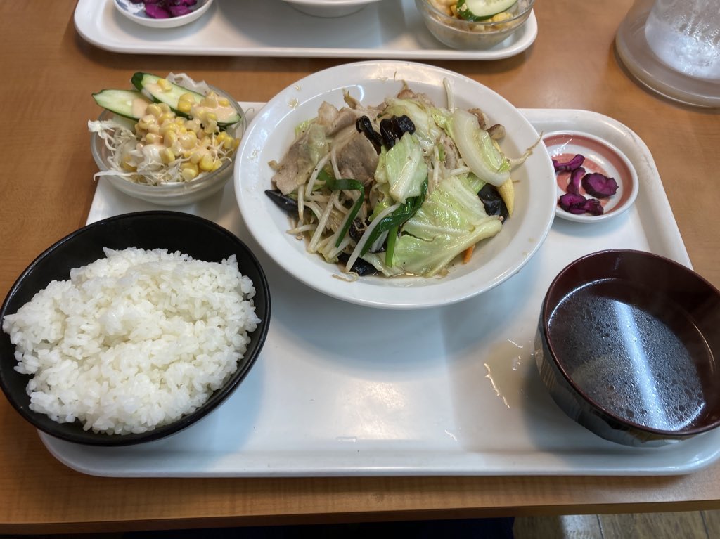 no_saitama's tweet image. さいたま市議会の紙爆弾=『市政レポート』8月特別号を大宮独立カーで深夜のポスティング。日進・宮原一帯に3200枚配ることができました!夜食は宮原のくるまやで肉野菜炒めセット900円。寝る前にココスでしろくまかき氷も。やたらと量が多くて好き(^^)