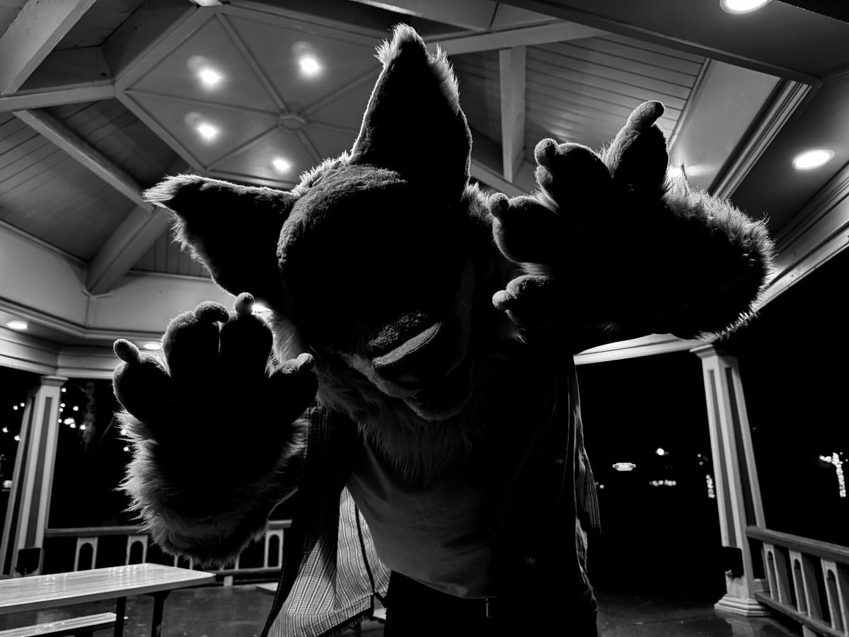 Bullet_Woof's tweet image. Thing that barks in the night &amp;gt;;3

Happy #FursuitFriday!