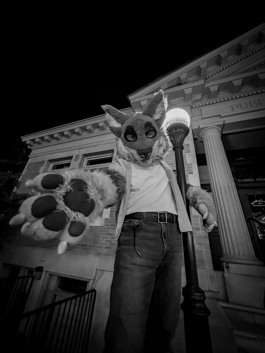 Bullet_Woof's tweet image. Thing that barks in the night &amp;gt;;3

Happy #FursuitFriday!
