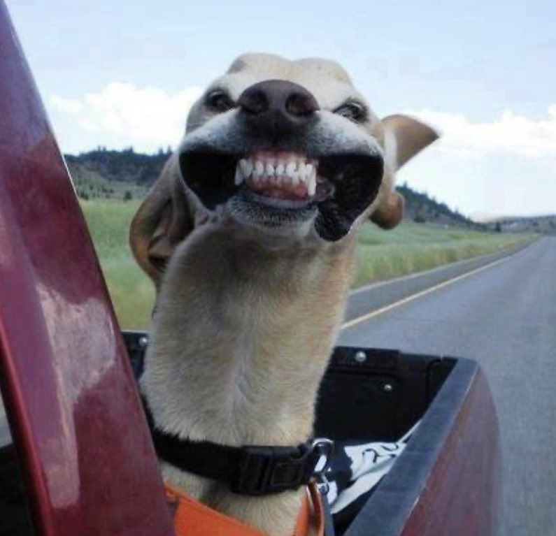 bobbirok's tweet image. Weekend mode : on