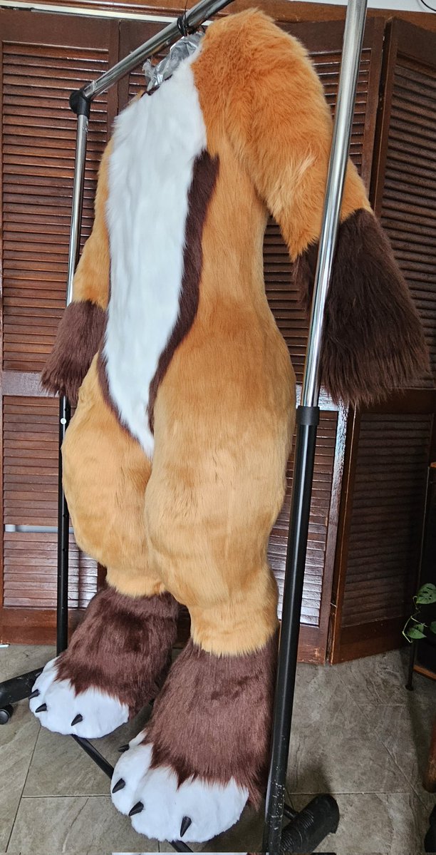 HollydaysInc's tweet image. Now for @FoxWithRamen 's body! After @FurryWeekend he needed a few adjustments and finishing touches, and now he is finally ready to be reunited 🦊
#FursuitFriday #fursuit #digigrade #fox