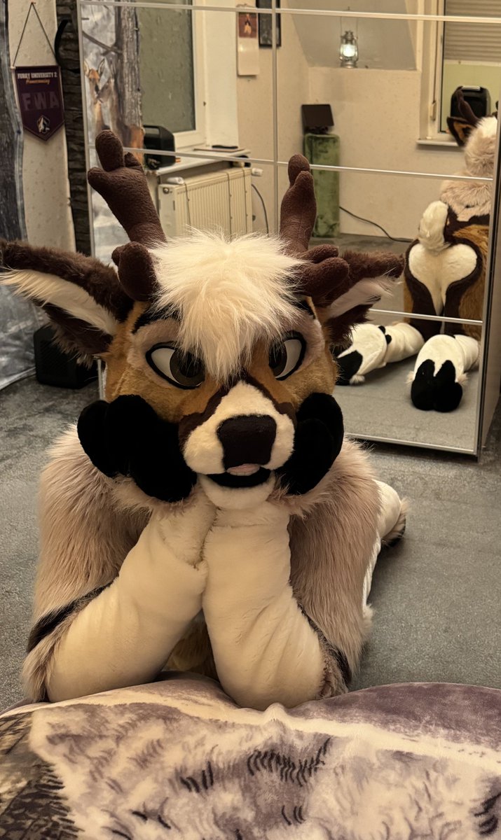 Good evening cutie 🥰 
#FursuitFriday