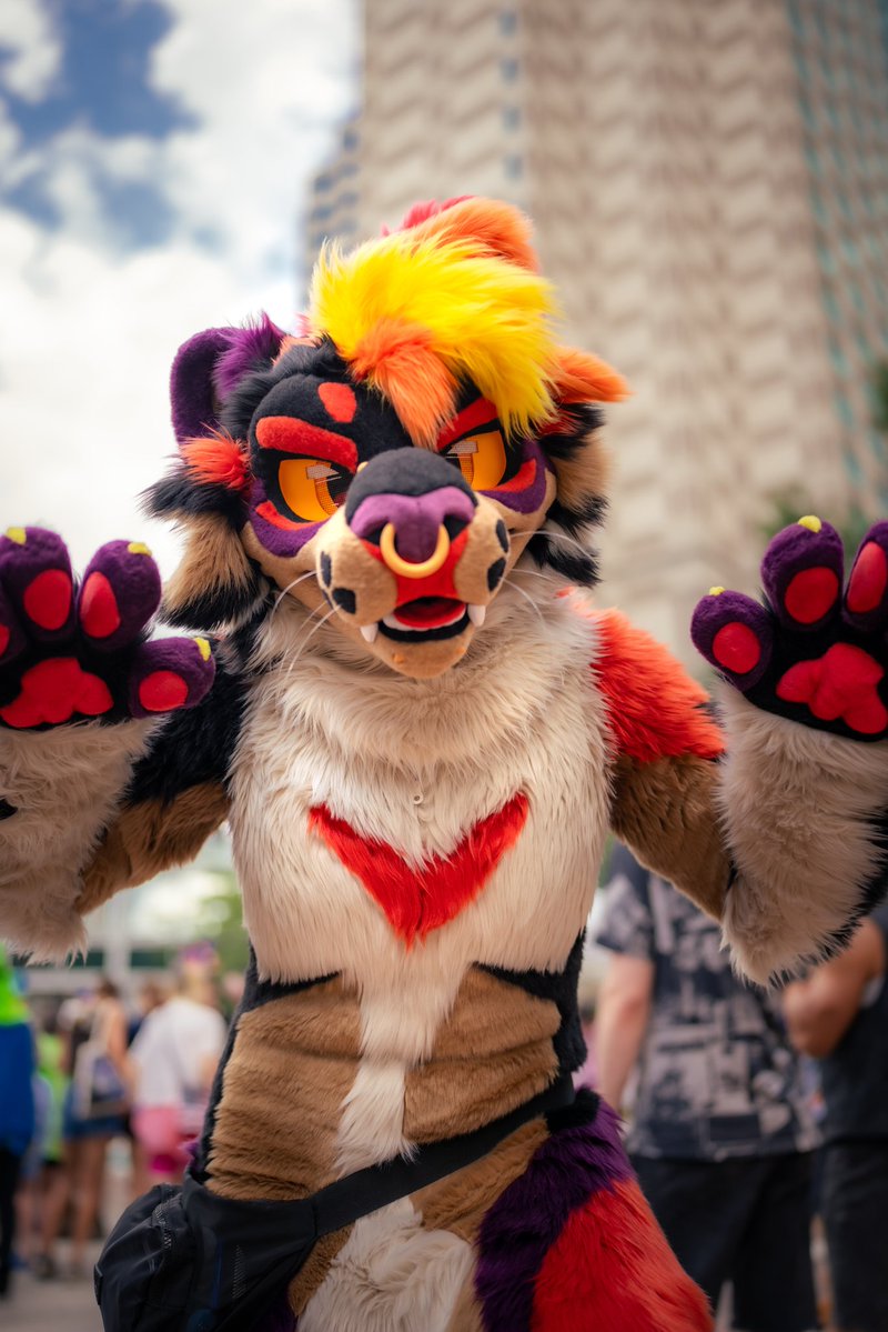 Scarburne's tweet image. ROAR!!! did i scare you? #FursuitFriday
🧵: @sheenitude
📸 : @isnotafox