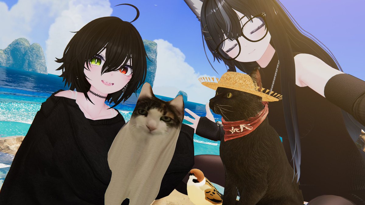 chowchow0704's tweet image. Dear Diary📝:
Today Neo forced meimei to meet more friends. The black cat with hat is so cool. Would be nice if Neo can stop body shaming meimei.