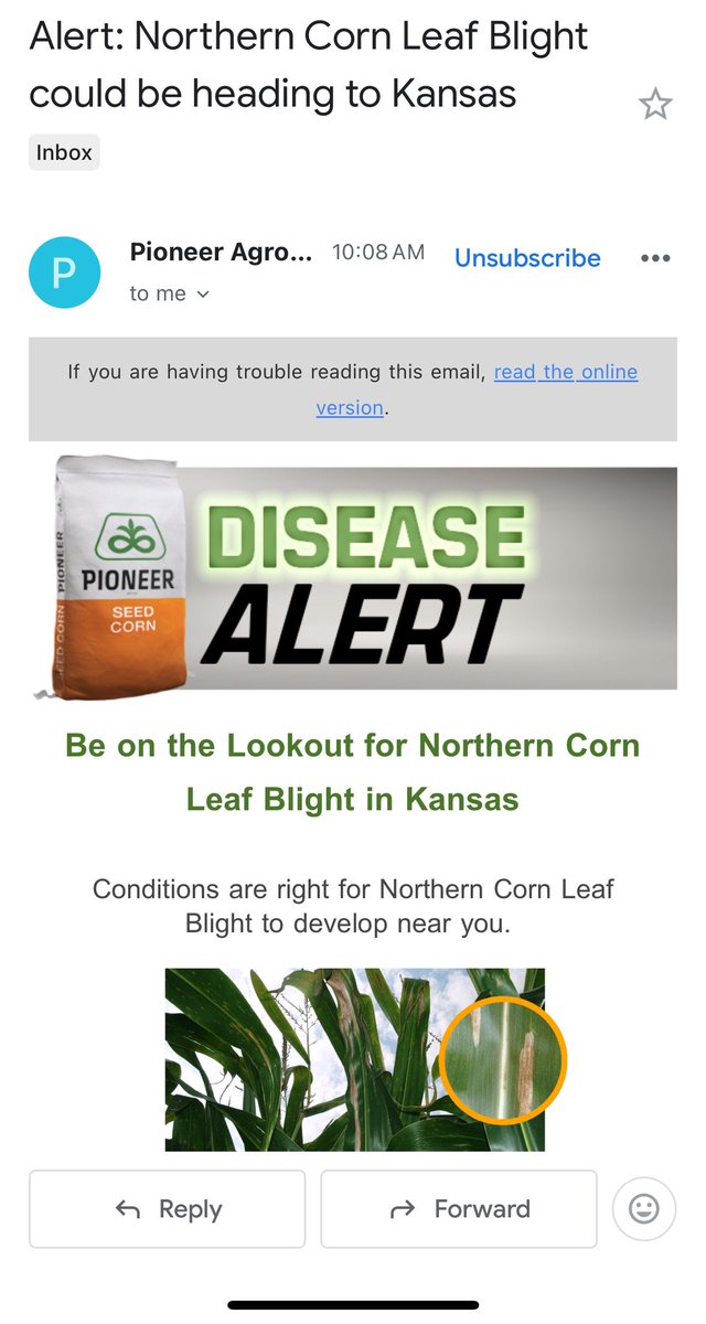 Hmmm no mention of tassel wrap….. on a serious note, will my fungicide application prevent this?
