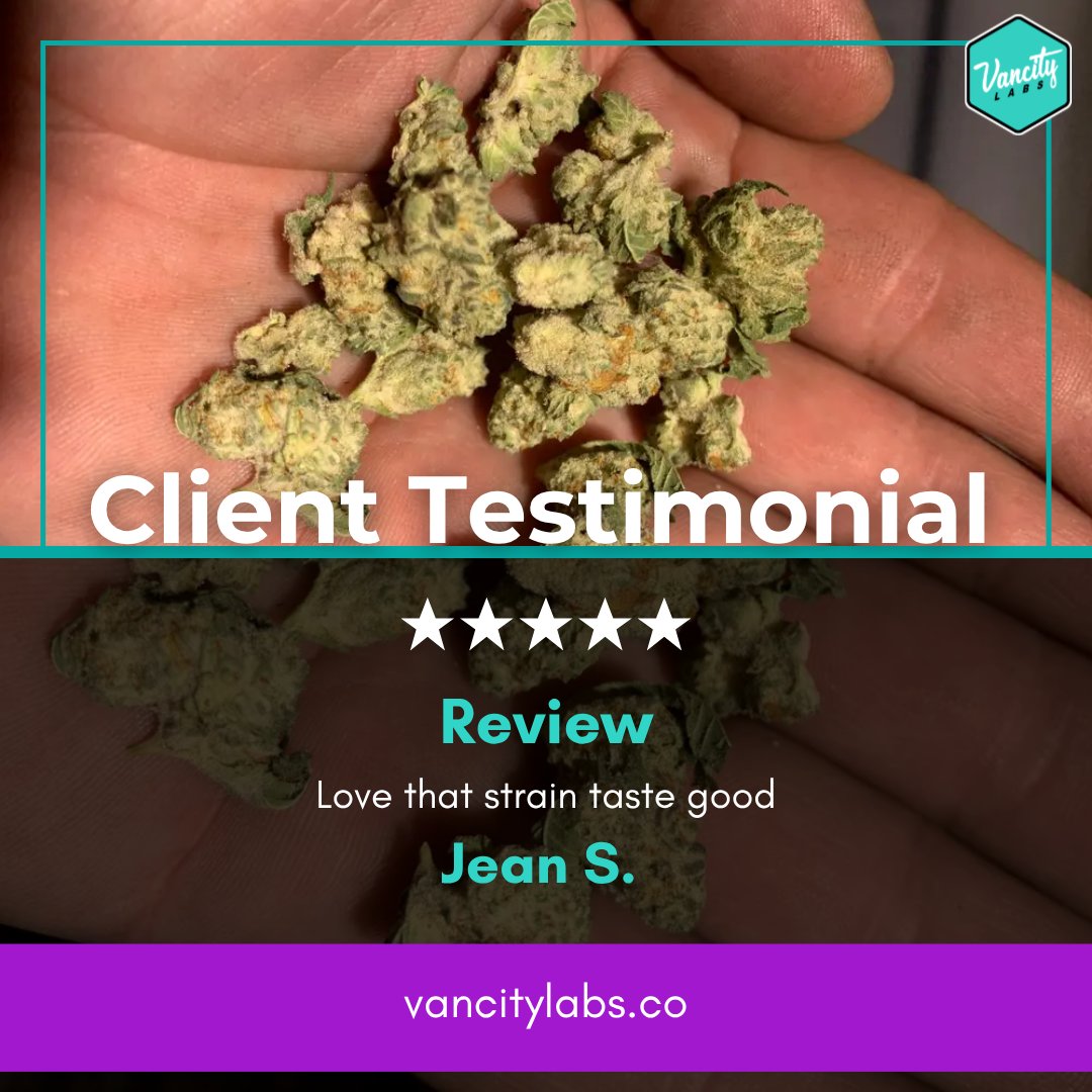 🔥 Client Testimonial 🔥
"Love that strain, tastes good!" – Jean S.
Quality you can taste, every time. 🌿💨

🌐  vancitylabs.co/product/ghost-…

#CustomerReview #CannabisCommunity #StrainReview #WeedLovers #TopShelf