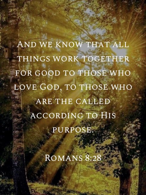 ✞ Andrea (@_andrea_n) on Twitter photo 