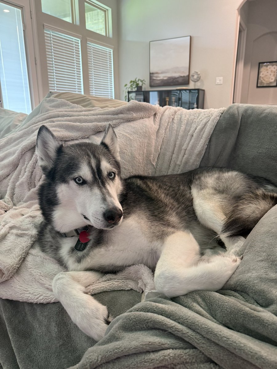 Sarah Sample tweet media