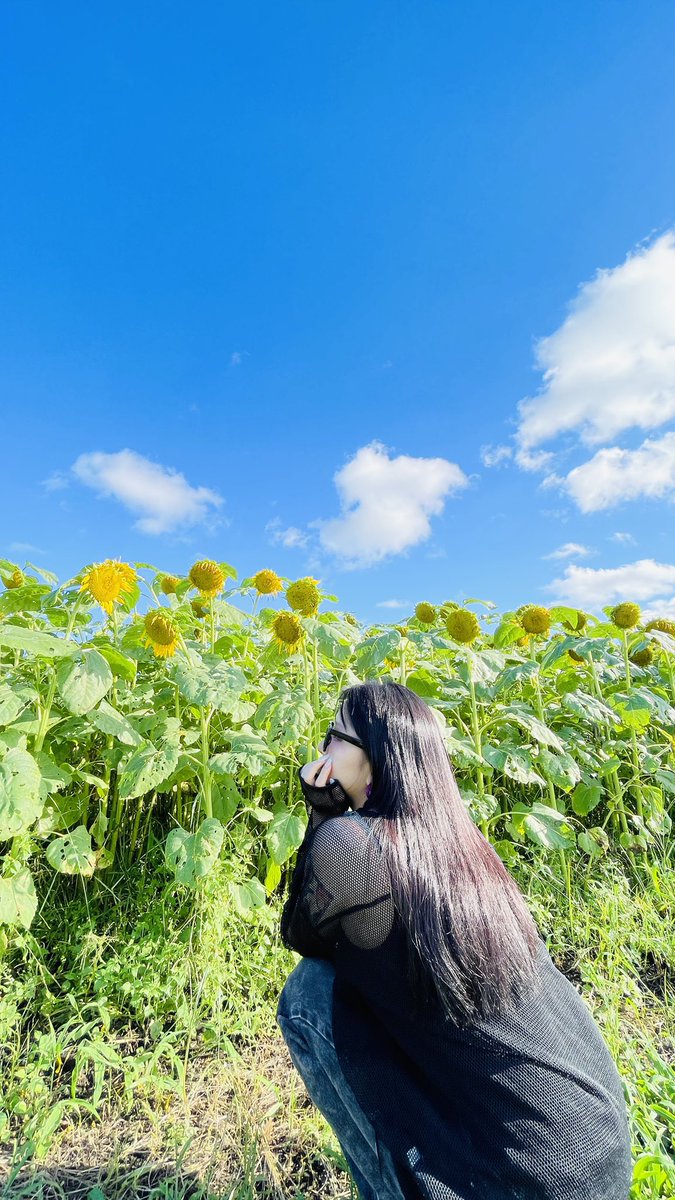 NDCashi____xox's tweet photo. 満開ピークに間に合わなかったけど
何より大好きなひまわりに囲まれて幸せだった最近のヲレ
ラスト20代
ここぞとばかりにギャル漫喫する https://t.co/W2wgLlDHXR