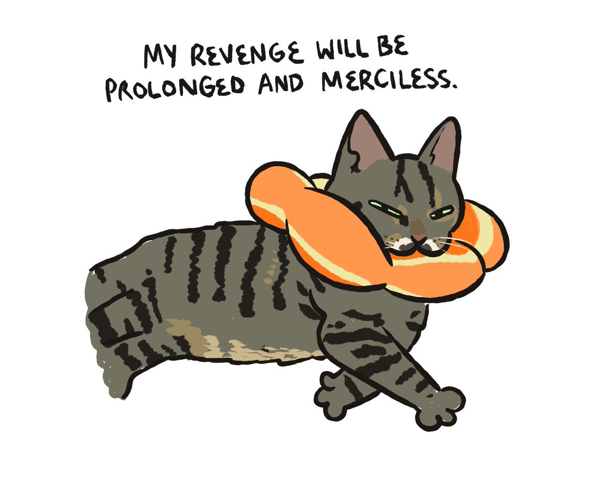 charlubby's tweet image. fanart i did of my colleague’s cat