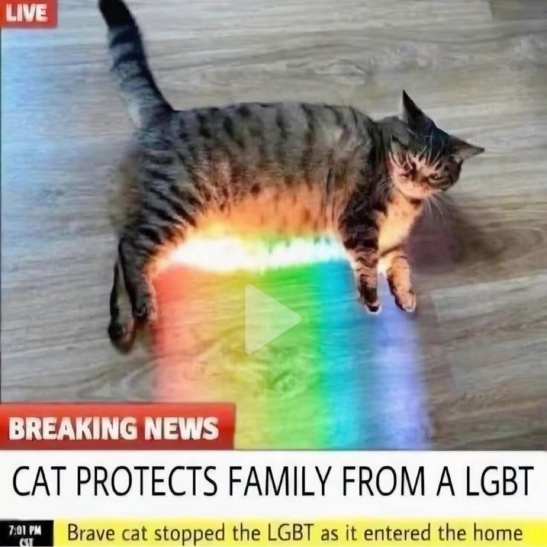 ⚫️ | Ⓜ️🌊 tweet media