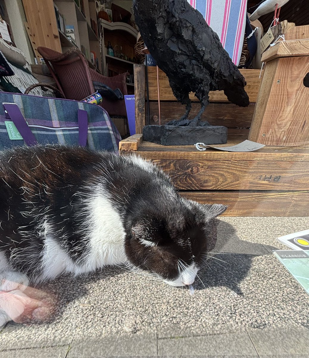 This morning <a href="/gallery_tower/">Tower House Gallery</a>. Needed a crane to extract her!