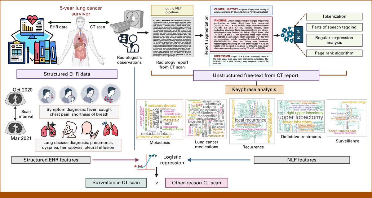 What insights can we glean from using natural language processing to understand CT imaging indications in long-term lung cancer survivors?<a href="/JCOCCI_ASCO/">JCO Clinical Cancer Informatics</a> <a href="/StanfordMed/">Stanford Medicine</a> 

"Automatic Abstraction of Computed Tomography Imaging Indication Using Natural Language Processing for Evaluation