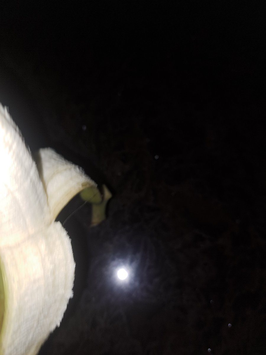 PigeonPiklNikl's tweet image. i have nothing funny to post look at this ominous image i took
