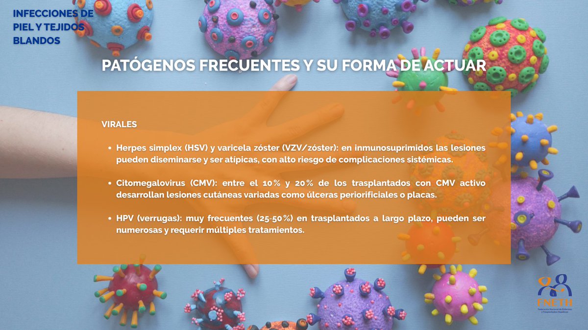 fneth_org's tweet image. 🦠 Las infecciones en verano pueden ser muy peligrosas, sobre todo para personas enfermas o trasplantadas hepáticas
👉 A lo largo del verano os traeremos distintos posts para tener un mayor conocimiento sobre estas infecciones
❗Conozcamos las de piel y tejidos blandos