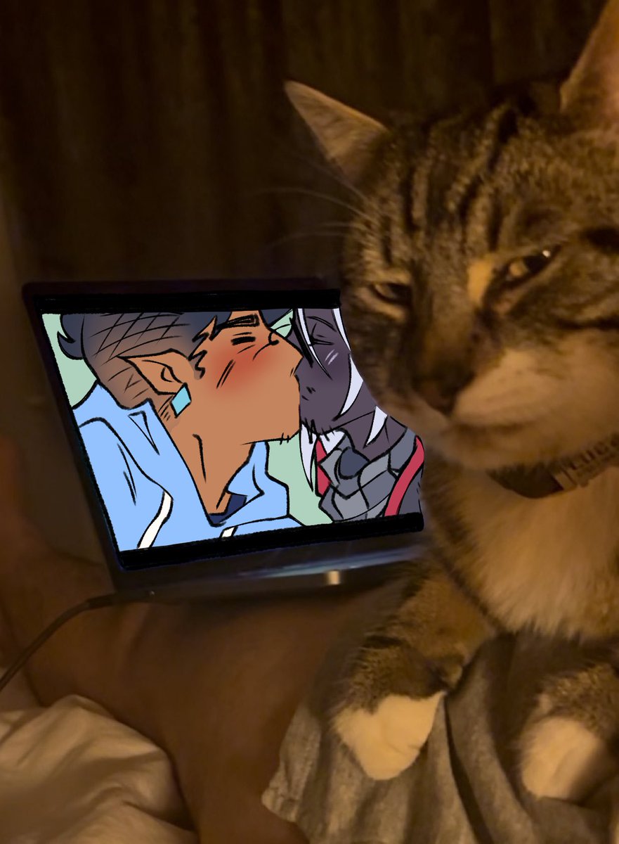 Astherr_'s tweet image. THIS PHOTO I JUST GOT OF MY HOMOPHOBIC CAT IM CRYINF
#badboyhalofanart #skeppyfanart