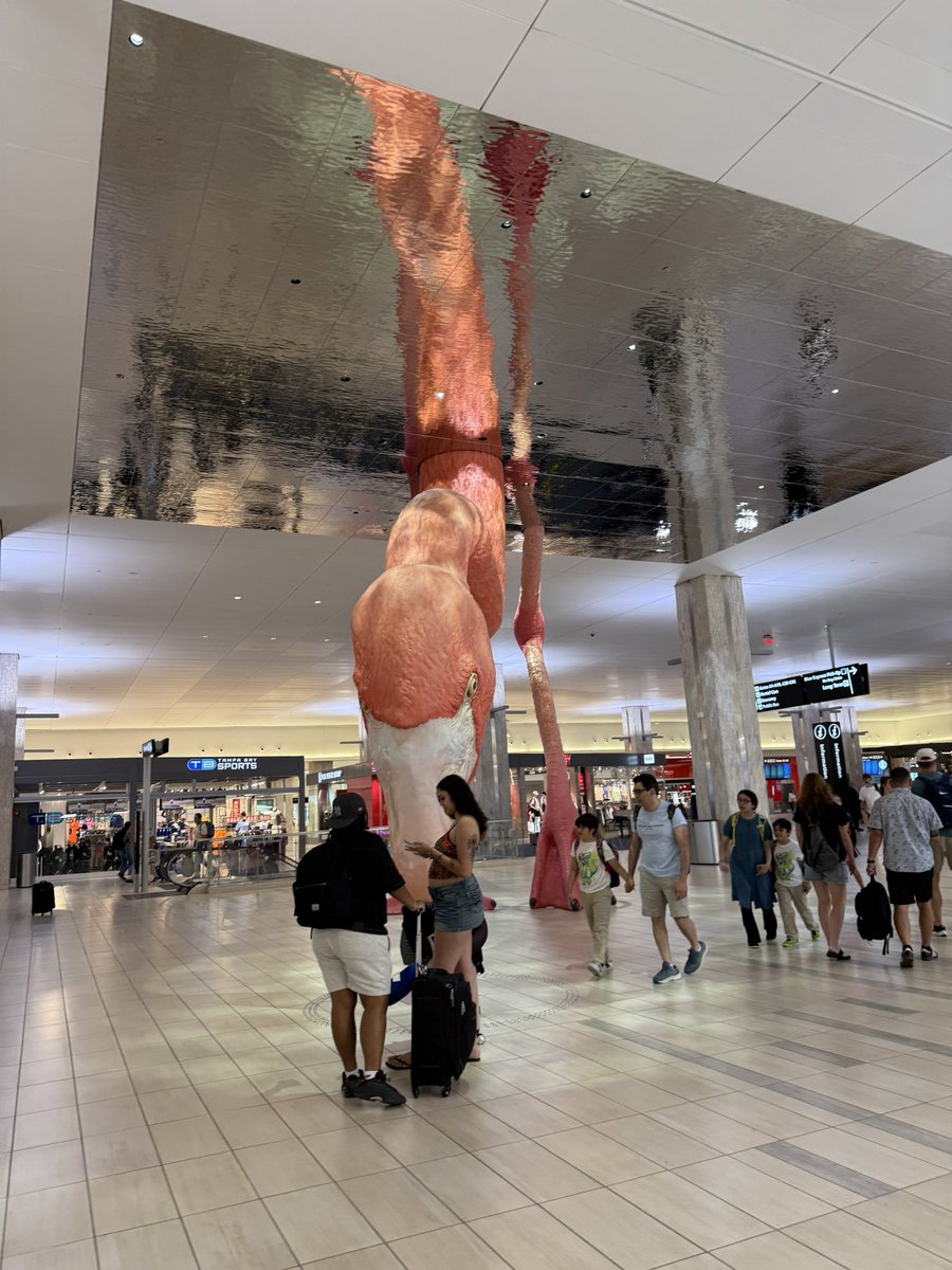 jinharemau's tweet image. Tampa goes crazy