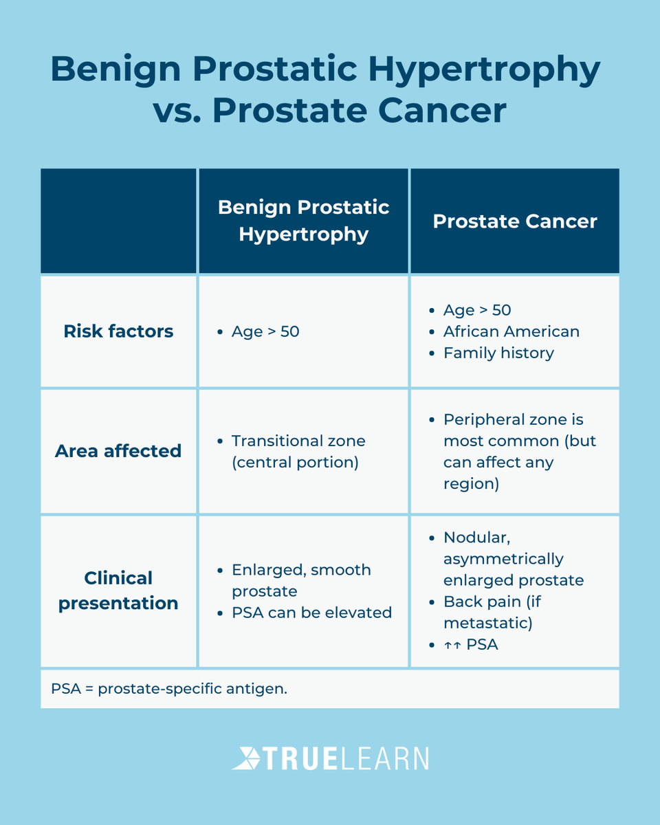 TrueLearnLLC's tweet image. Get a quick and clear overview of benign prostatic hypertrophy versus prostate cancer with TrueLearn’s infographic!
#cancer #prostate #medicine #healthcare #education #infographic #truelearn