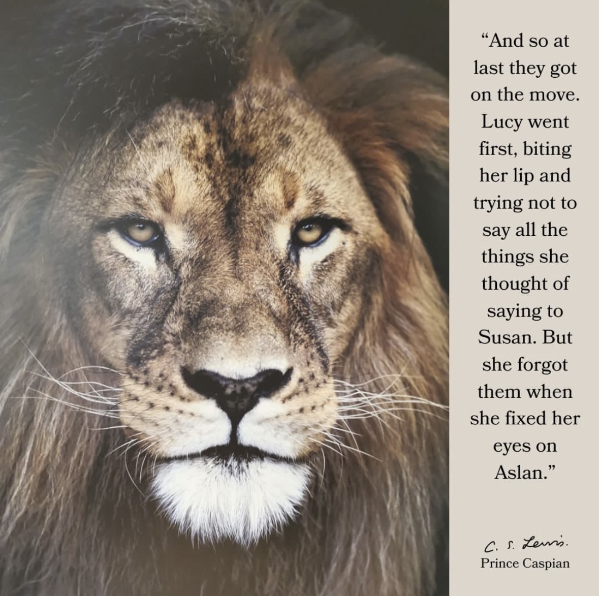 CSLIChicago's tweet image. #CSLI
