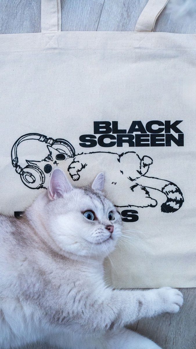 blackscreenrec's tweet image. Cat content! 🐈 We hope you have a purrfect weekend and highly recommend getting our new tote bag — Yuki certainly loves it!
blackscreenrecords.com/products/yuki-…