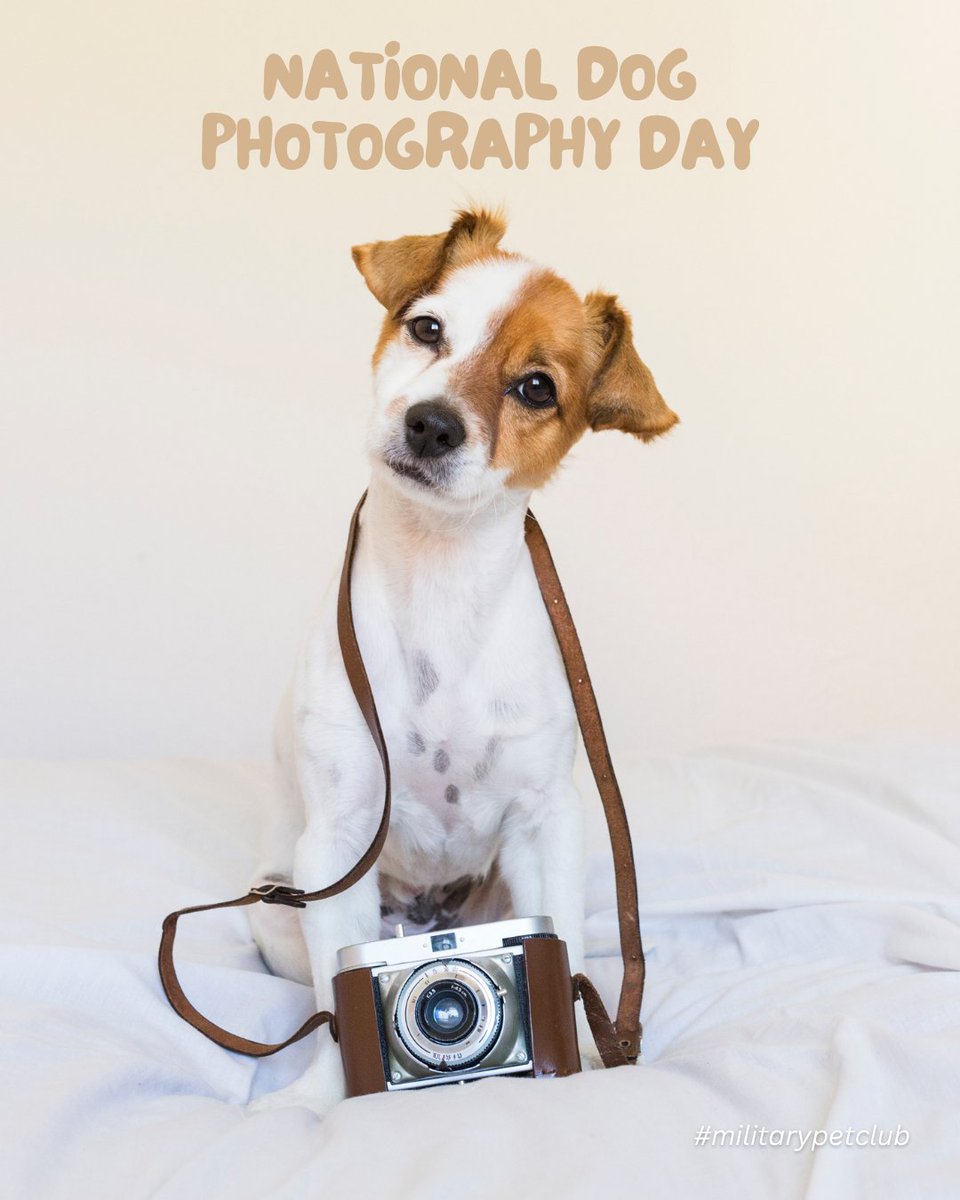 Strike a PAWSE! 🐾📷 It’s National Dog Photography Day - show off your friends!

#NationalDogPhotographyDay 

militarypetclub.com