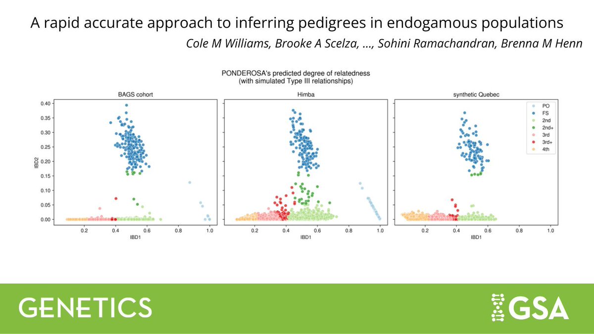 GeneticsGSA's tweet image. In #GENETICS, Williams et al. present a novel statistics—haplotype score—for summarizing identity-by-descent sharing that can distinguish half-sibling pairs from grandparent-grandchildren pairs and assign individuals to ancestor vs descendant generation.
buff.ly/SaZP3CA