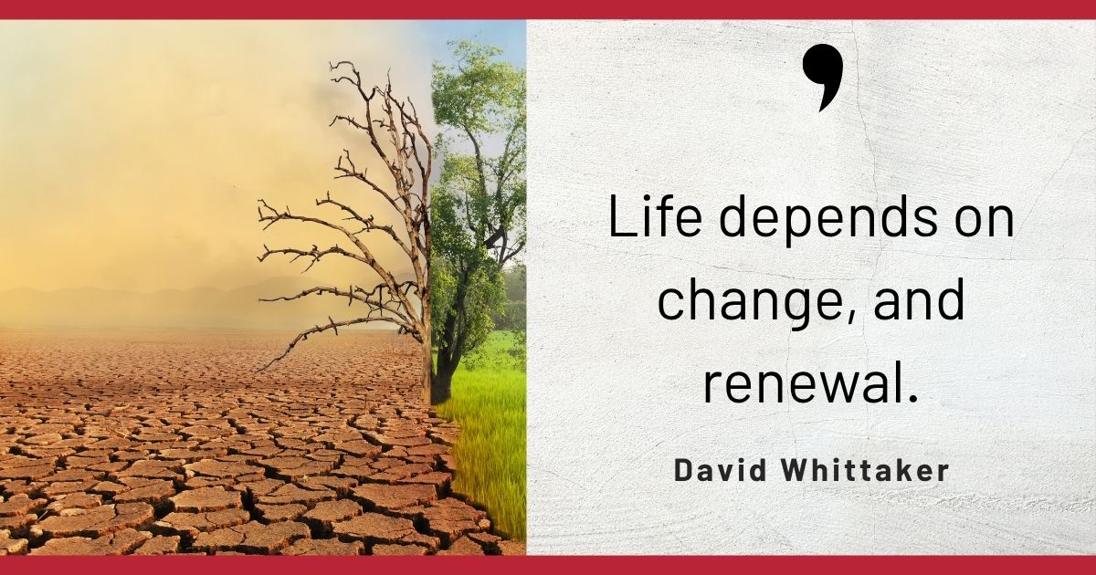Change isn’t just necessary - it’s powerful.

Growth, renewal, and transformation often come from the most unexpected shifts.

#MondayMotivation #CreativeGrowth #AZMediaMaven